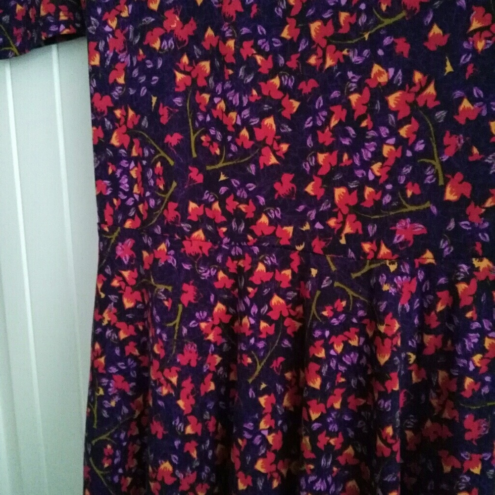 LuLaRoe Nicole Dress Size S EUC